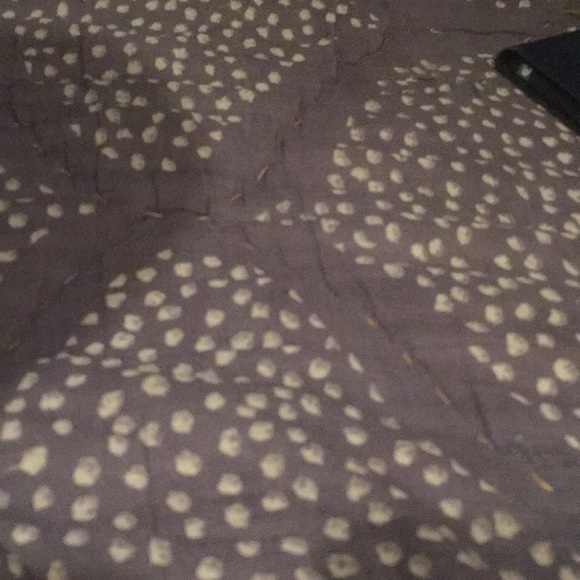 Meet your Posher, Inna - Picture 1 of 1